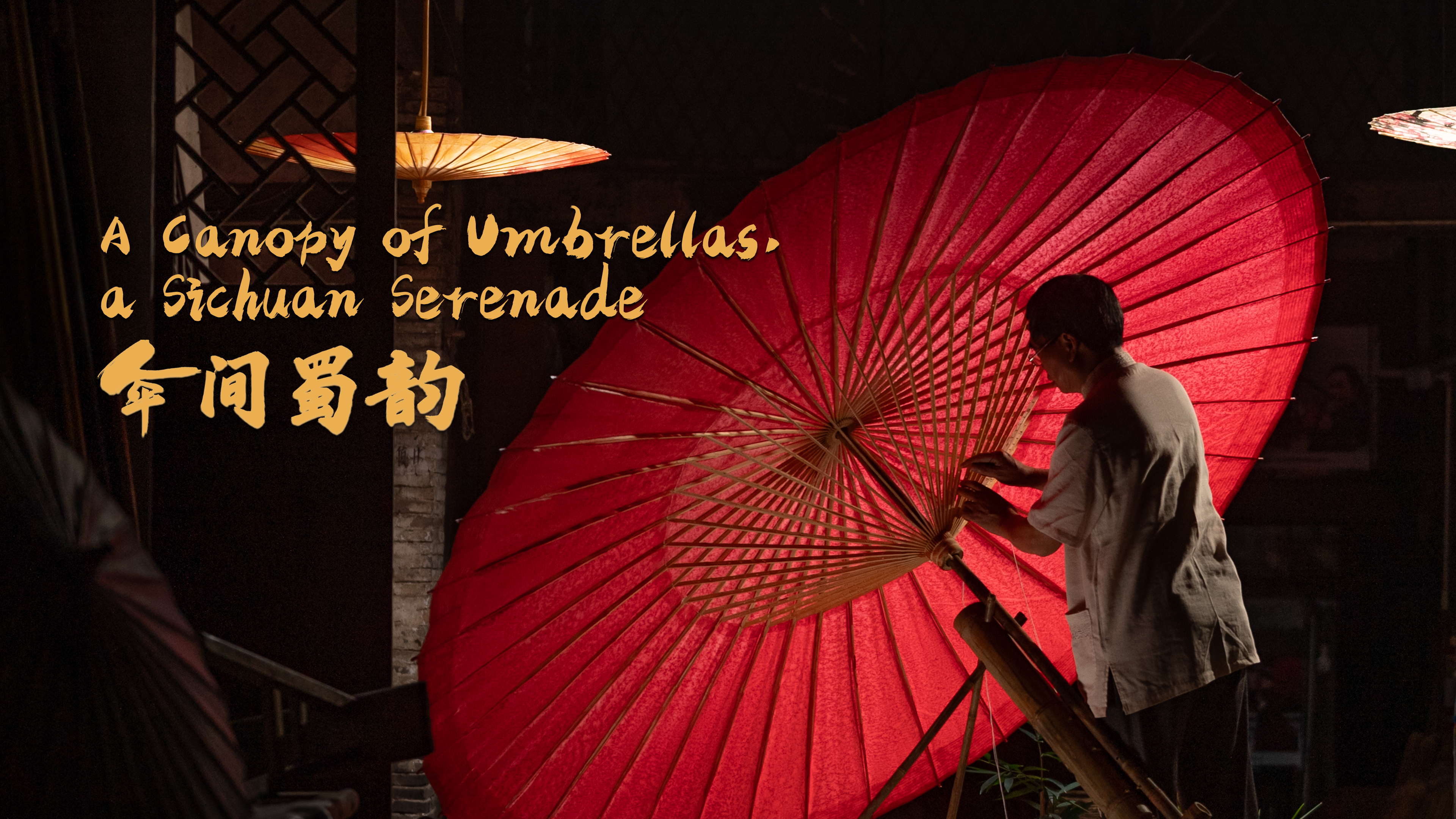 A canopy of umbrellas: a Sichuan serenade