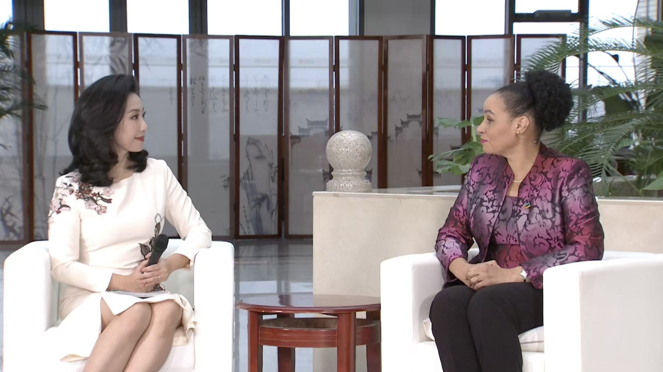 Mozambique diplomat on progress in women causes over 30 years