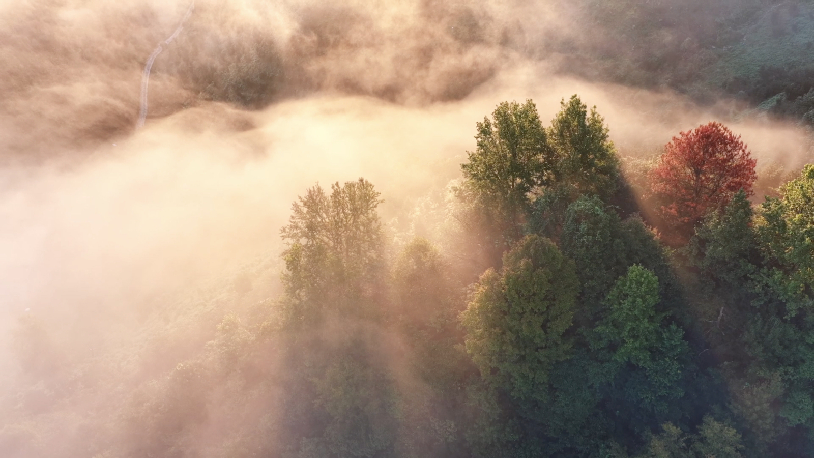 East China's living, breathing example of natural harmony