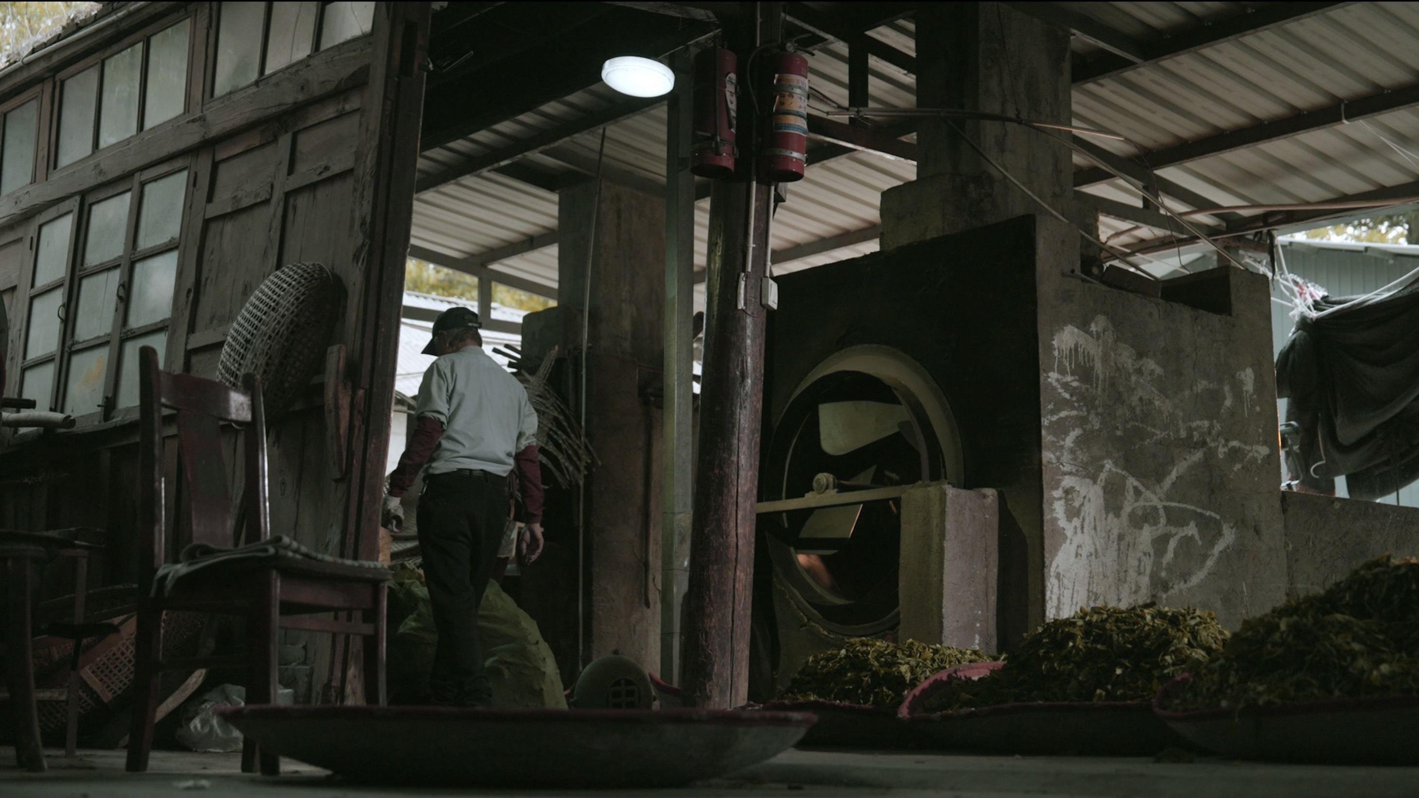 Master Lin Yunlian of Dali Shares the Craft of Fine Tea