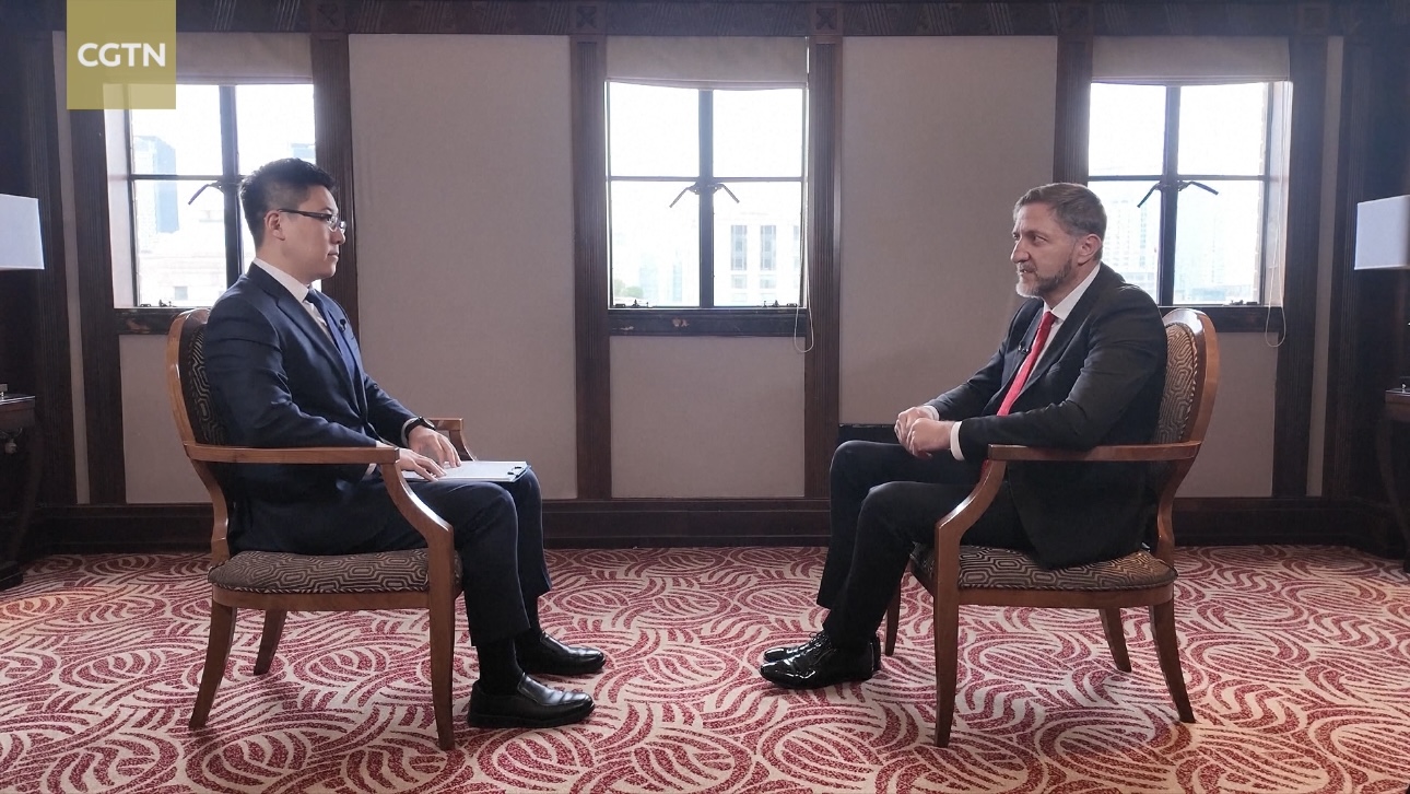 Slovenia's FM: First batch of panda bonds to be issued next year