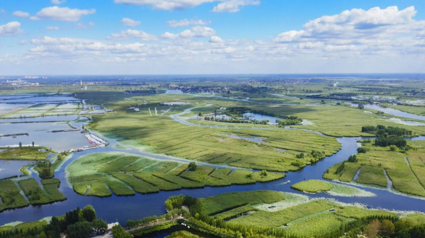 China reaffirms climate commitment ahead of COP30 in Brazil