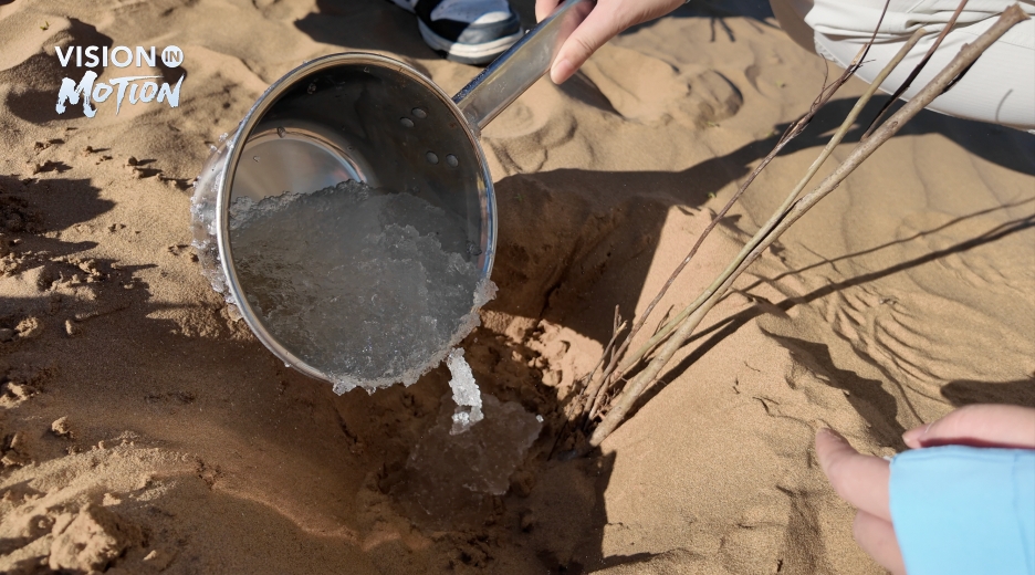 Desert reborn: Inner Mongolia leads a tech-driven green revolution