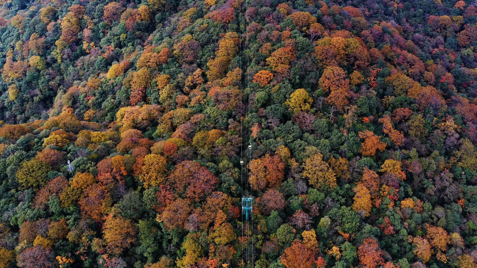 Mount Fanjing drenched in autumn charm