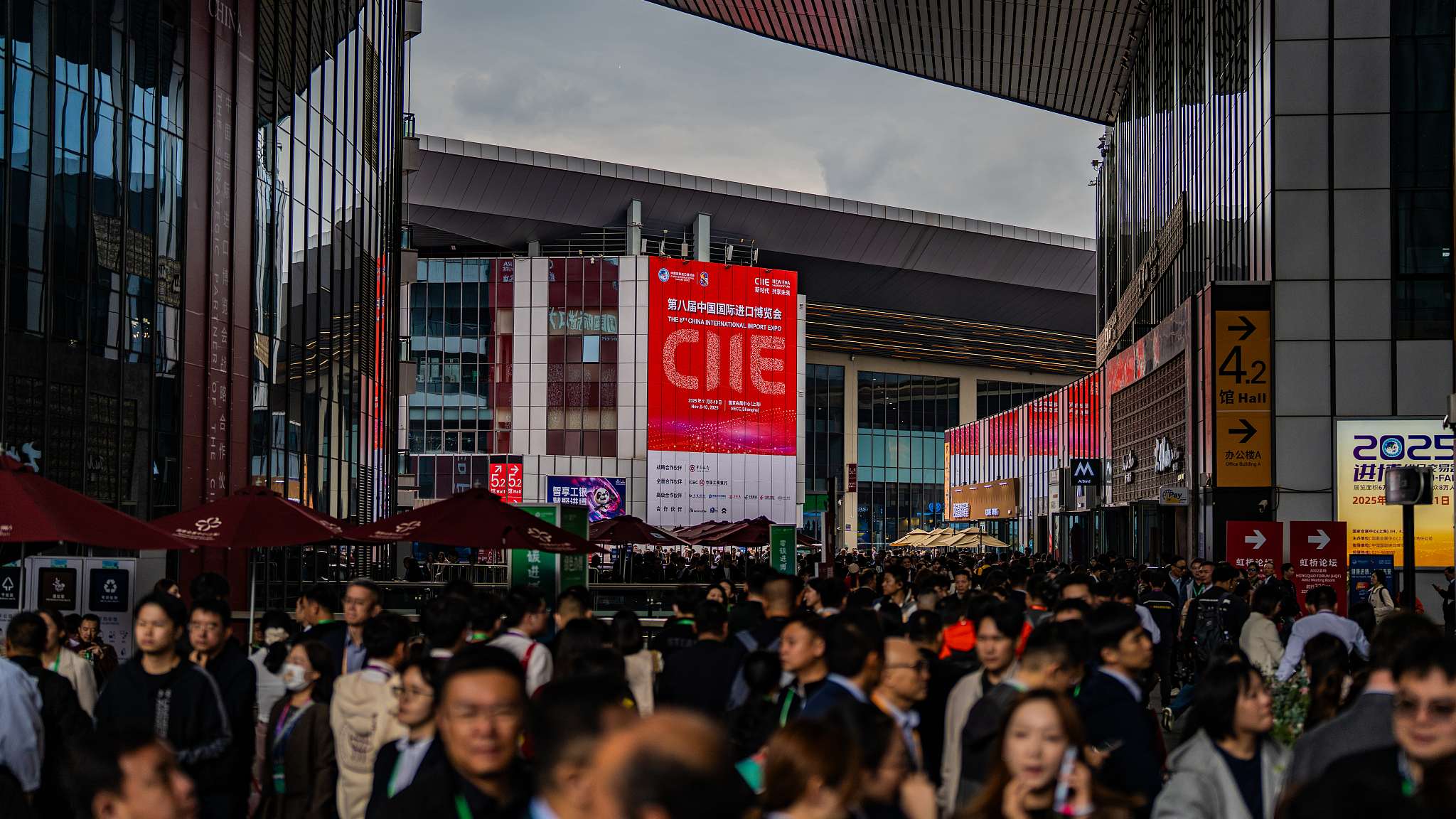 UAE business leader: CIIE a vital platform for entering Chinese market