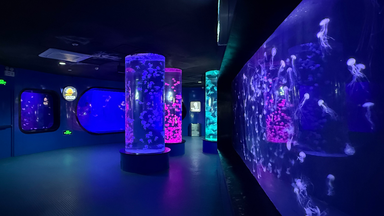 Last stroll in Qingdao: From barley to the sea, and smiles that linger