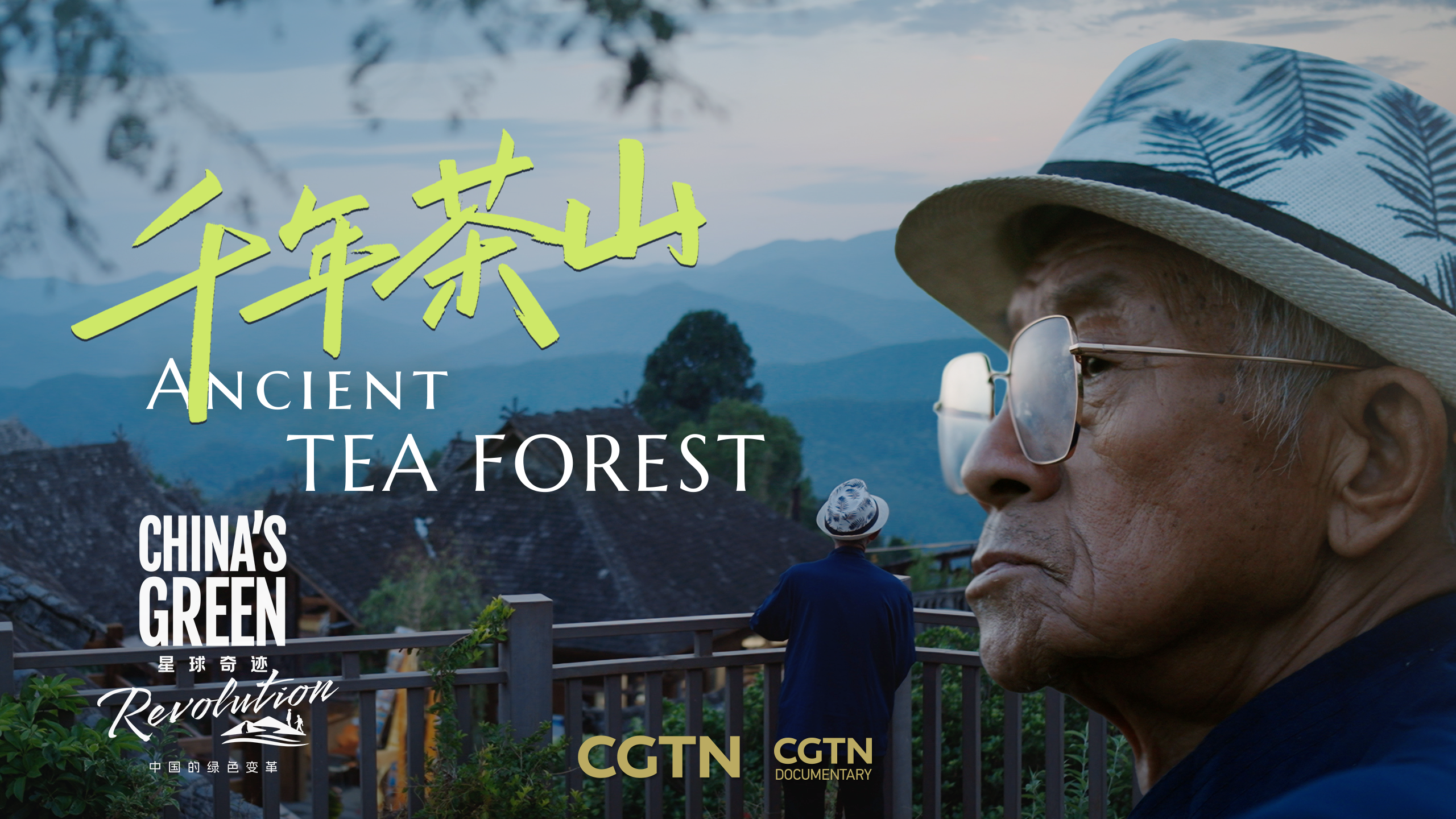 Where the Wind Remembers Tea | China's Green Revolution EP4