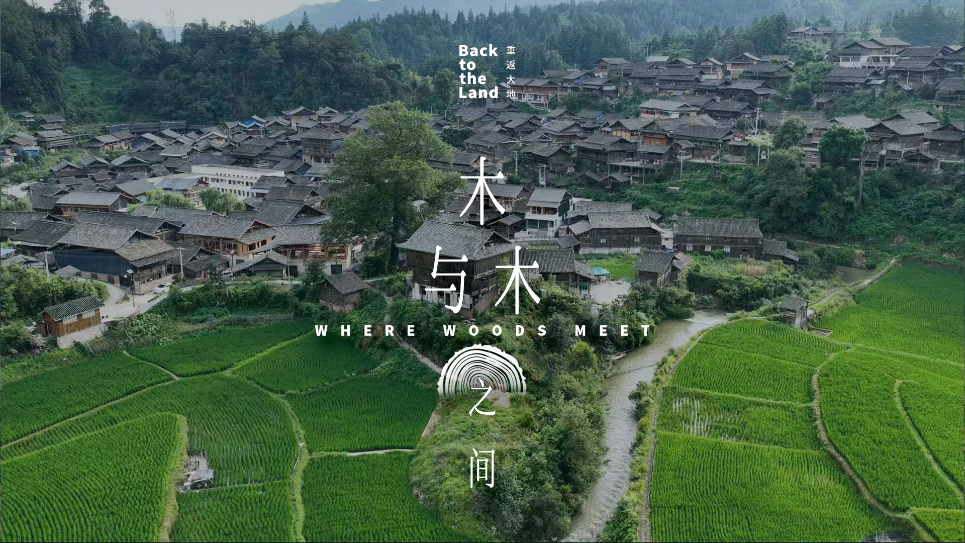 Where woods meet: The art of China's timber framing