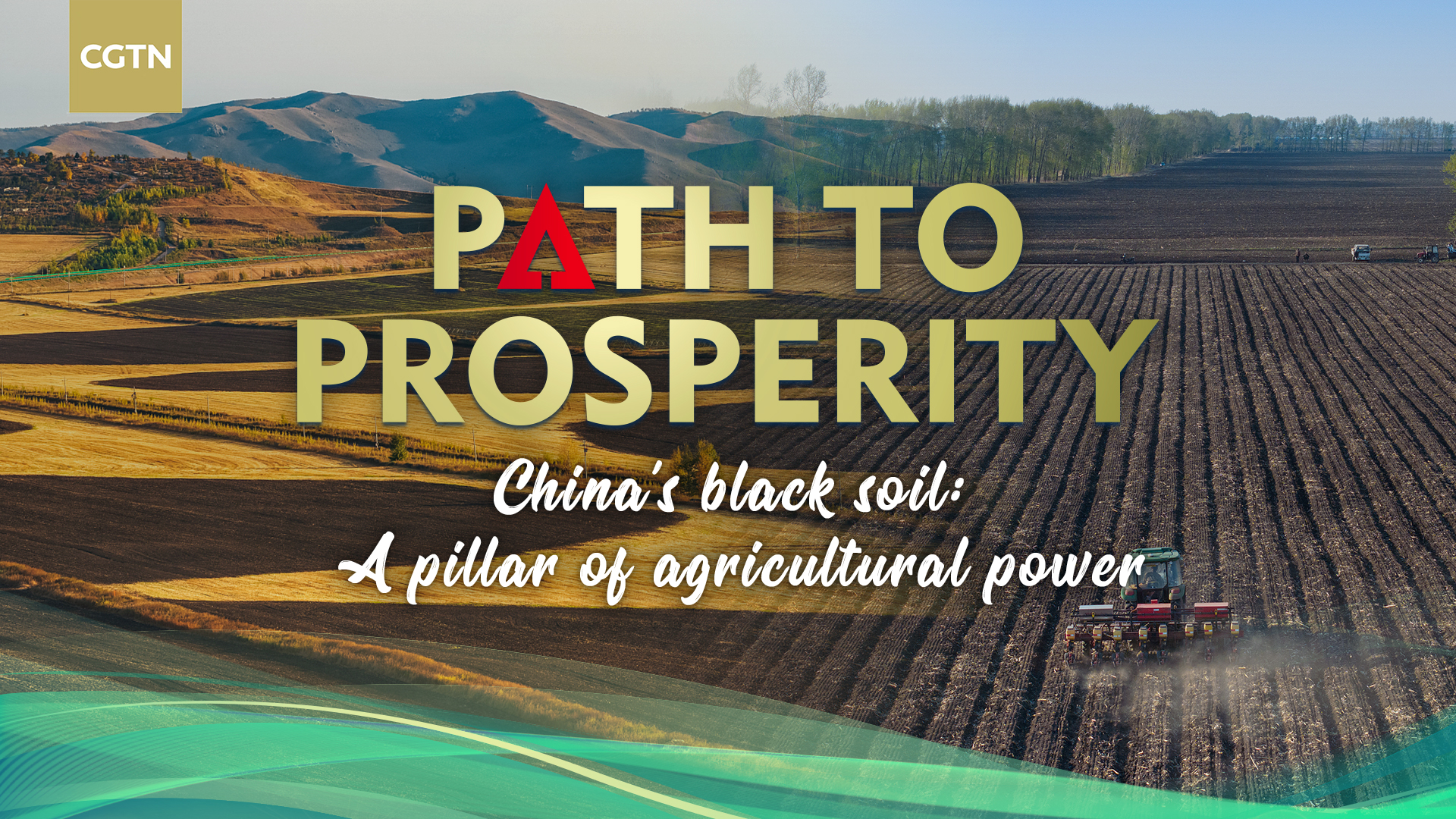 China's black soil: A pillar of agricultural power