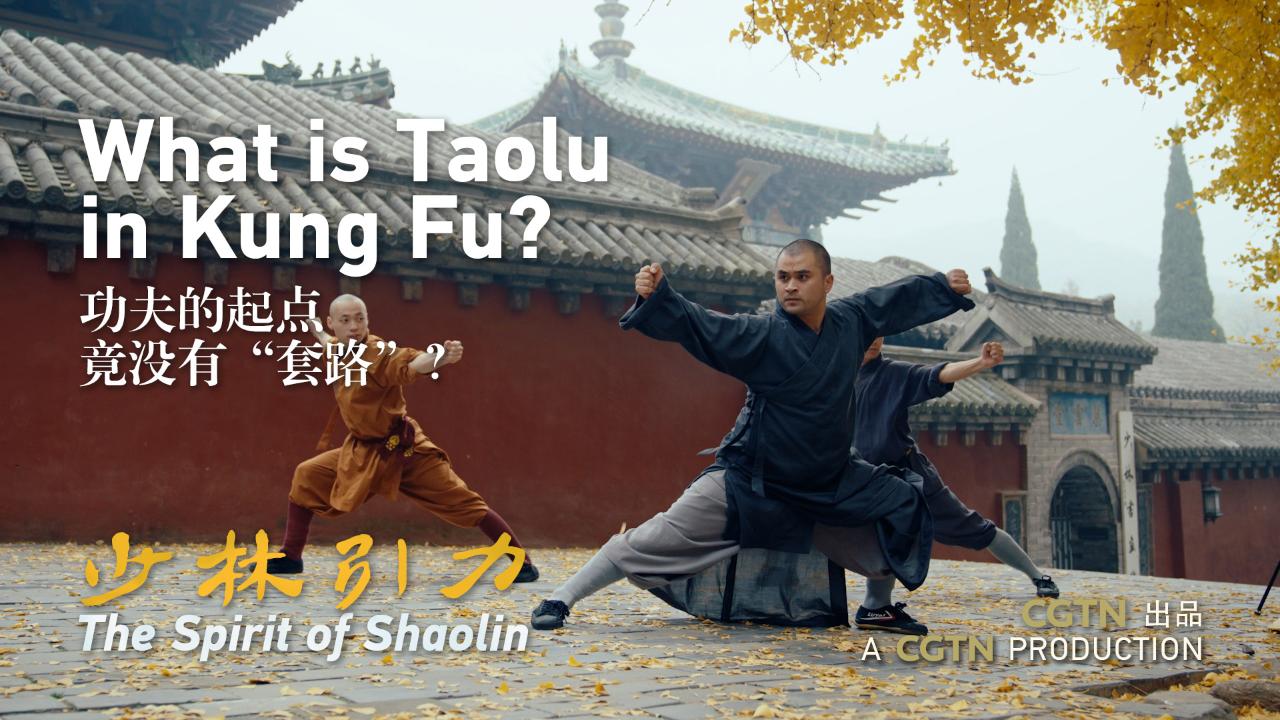 What is Taolu in Kung Fu? | The Spirit of Shaolin - CGTN