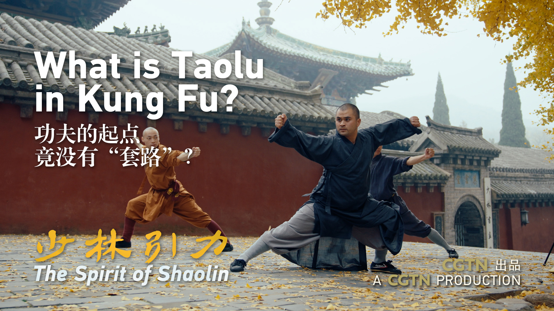 What is Taolu in Kung Fu? | The Spirit of Shaolin