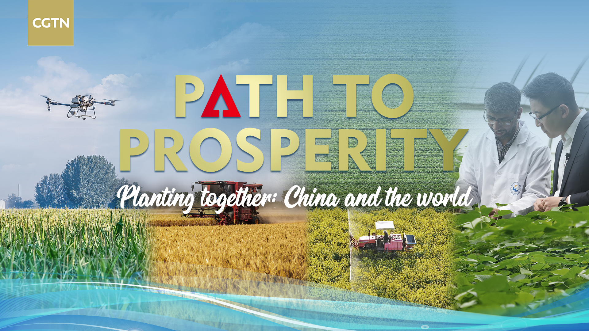 Planting together: China and the world