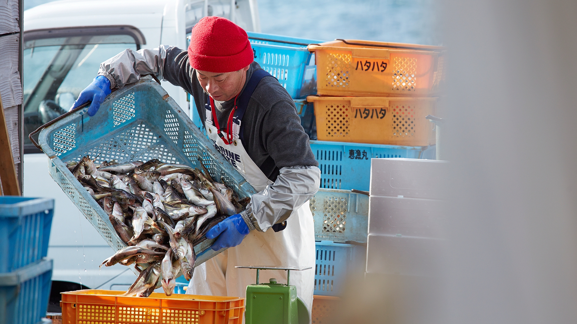 China-Japan tensions threaten Okinawa fishermen's livelihoods