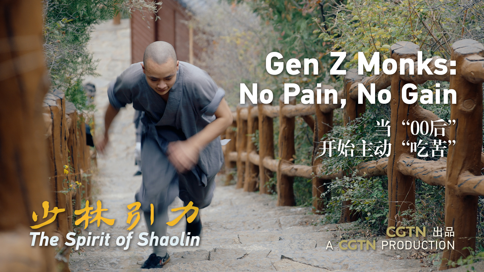 Gen Z Monks: No Pain, No Gain | The Spirit of Shaolin