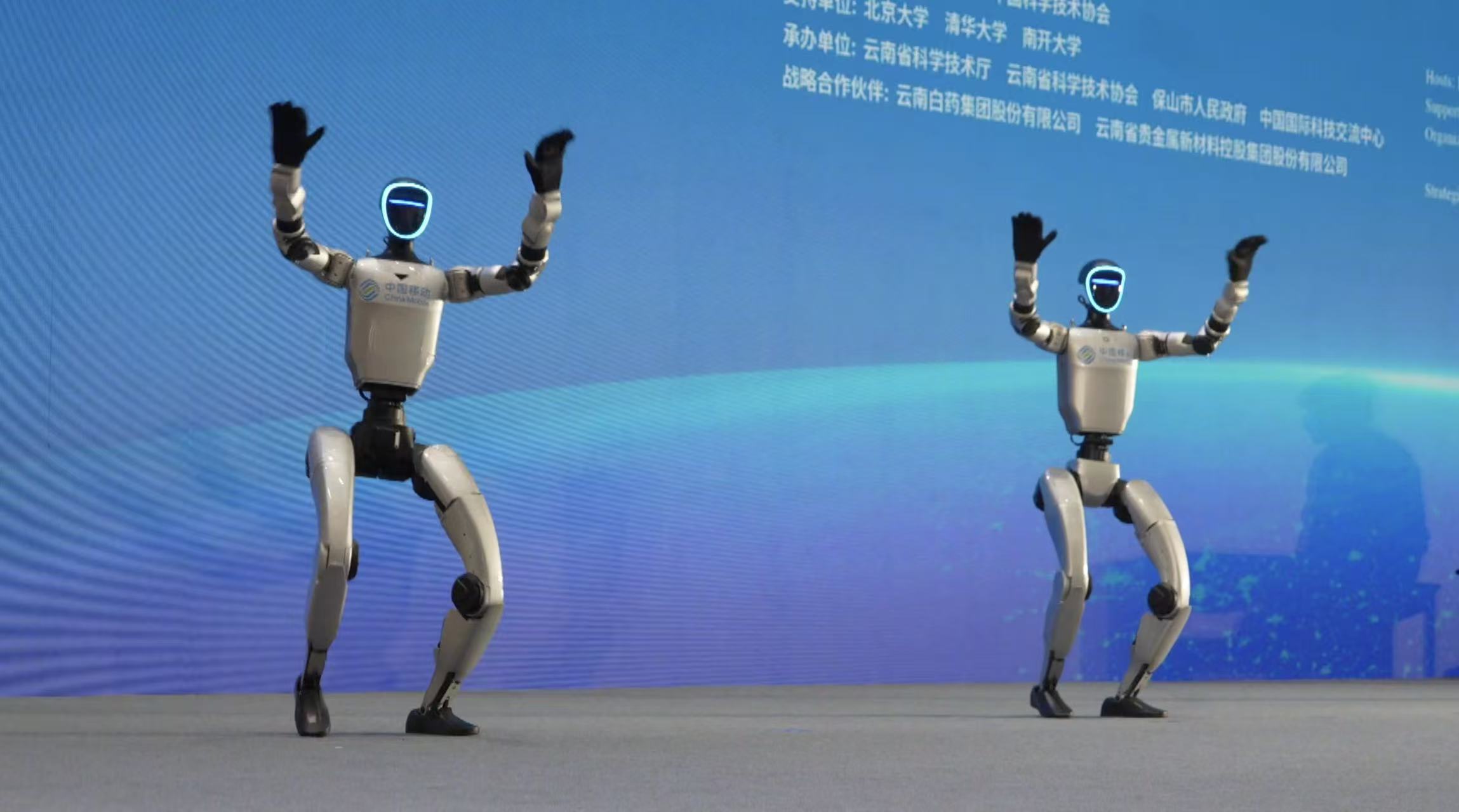 Humanoid robots and robot dogs at 2025 Tengchong Scientists Forum