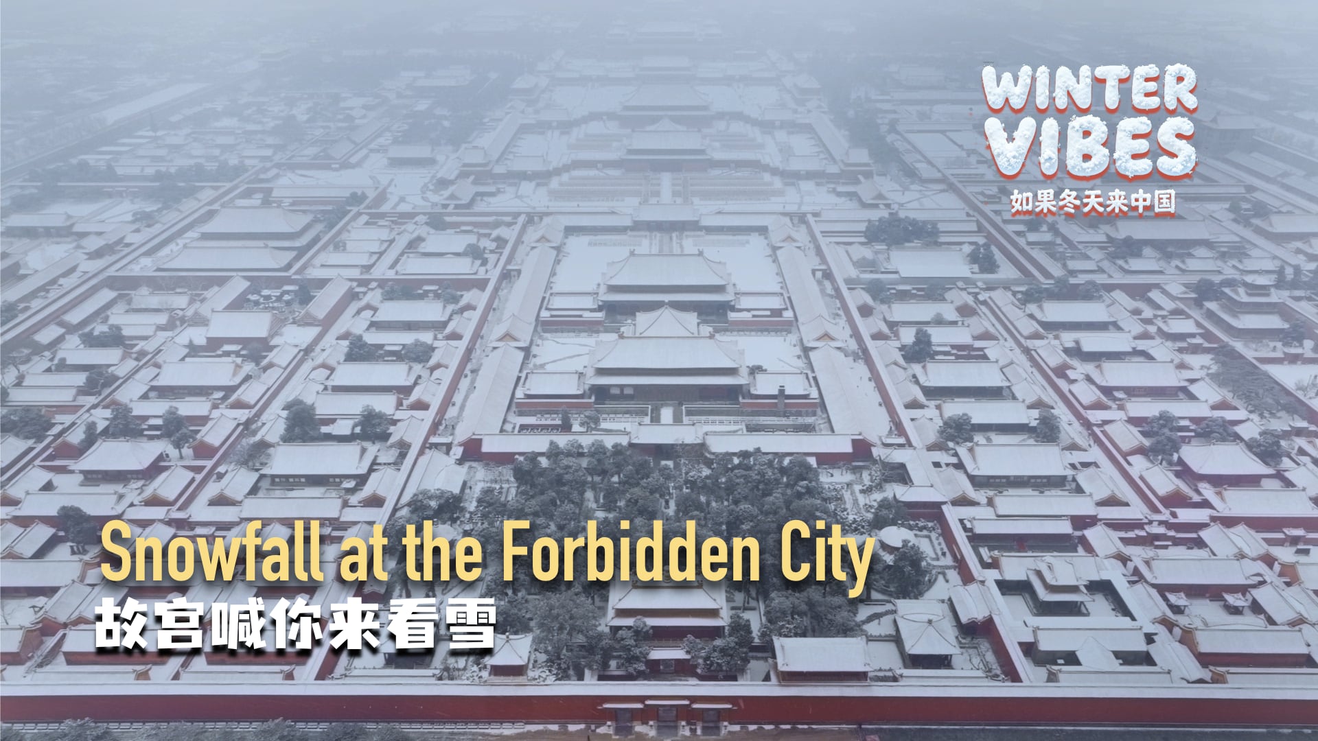 Winter Vibes: Snowfall at the Forbidden City
