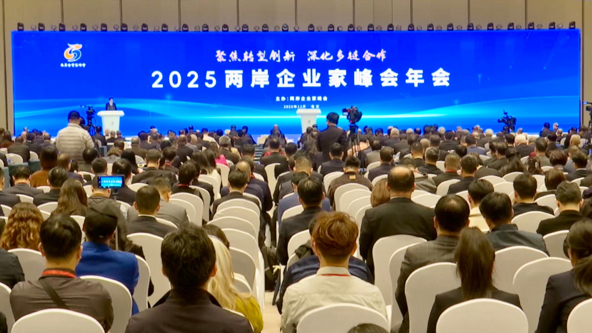 Annual Cross-Strait CEO Summit kicks off to promote business ties - CGTN