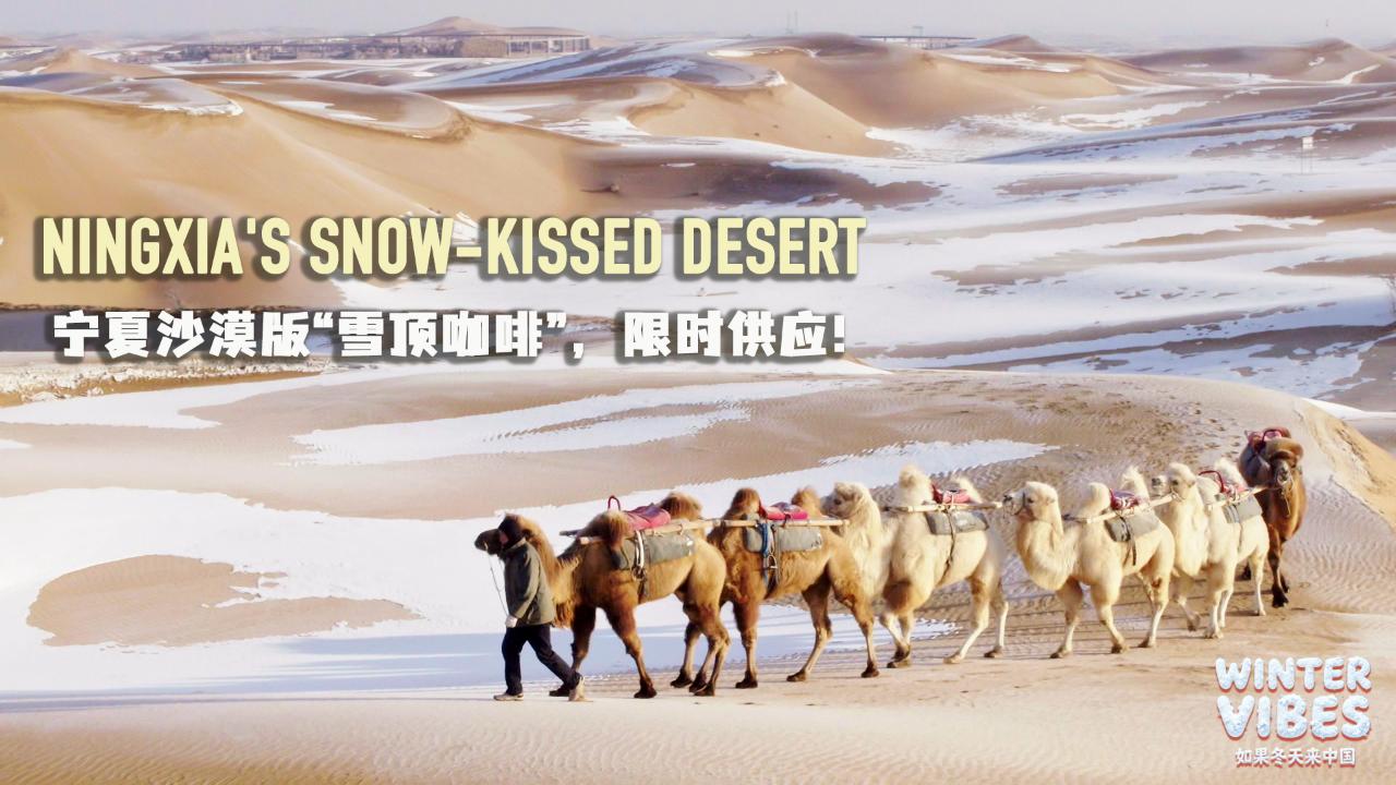 Winter Vibes | Ningxia's snow-kissed desert