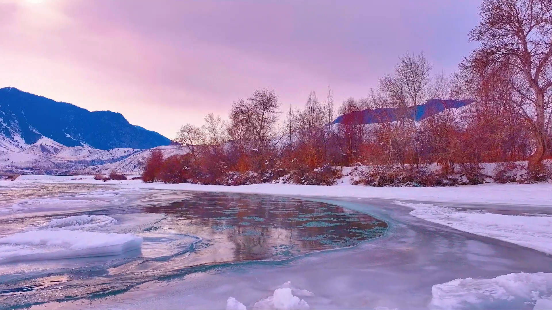 A serene winter pastoral symphony‌ in Xinjiang's Tekes County