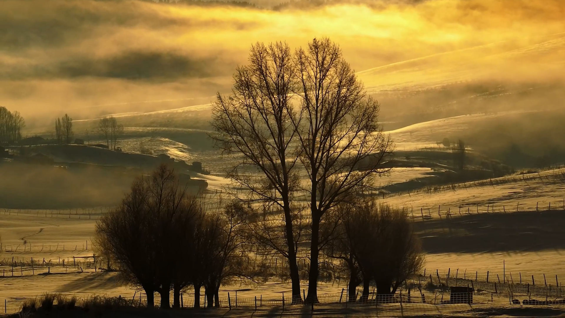 Golden mist wakes a winter fairy tale on Kalajun Grassland