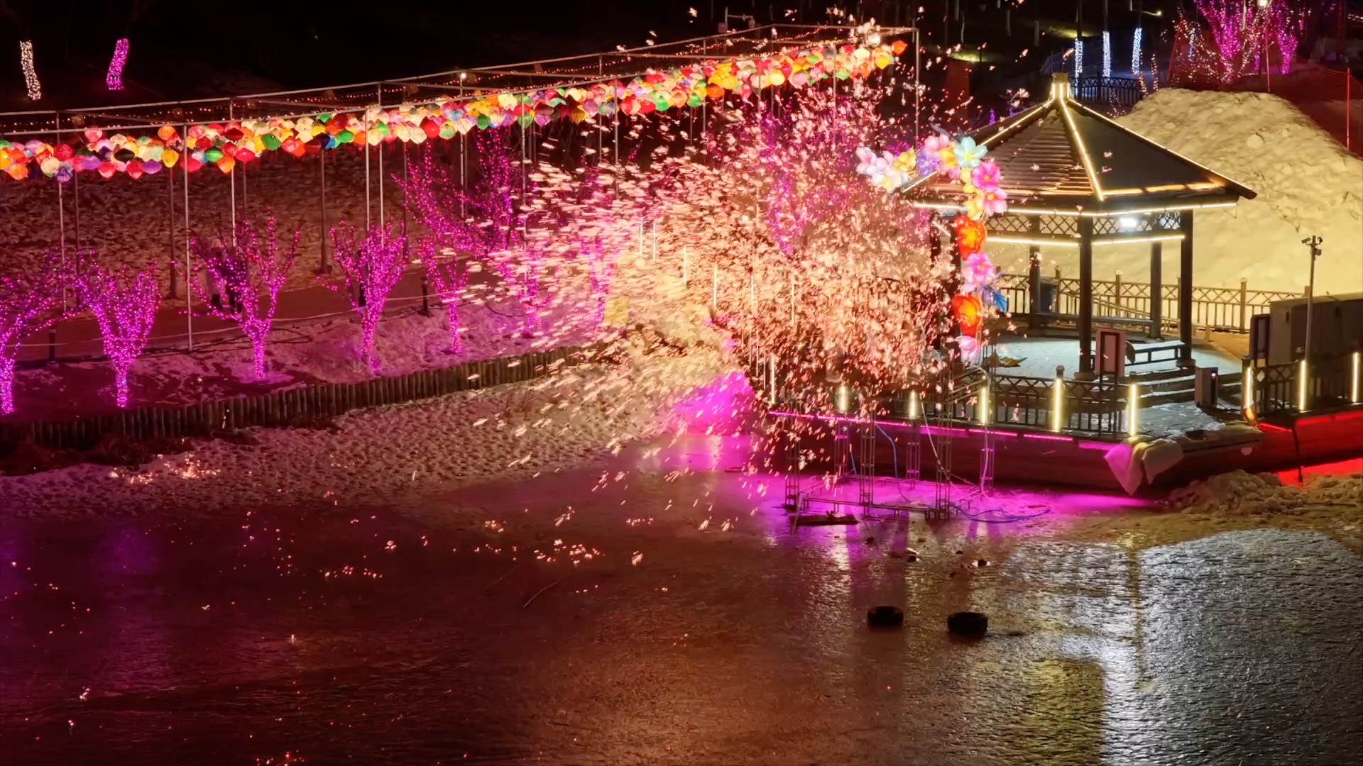 Lantern magic lights NE China's Dalian as the Spring Festival nears