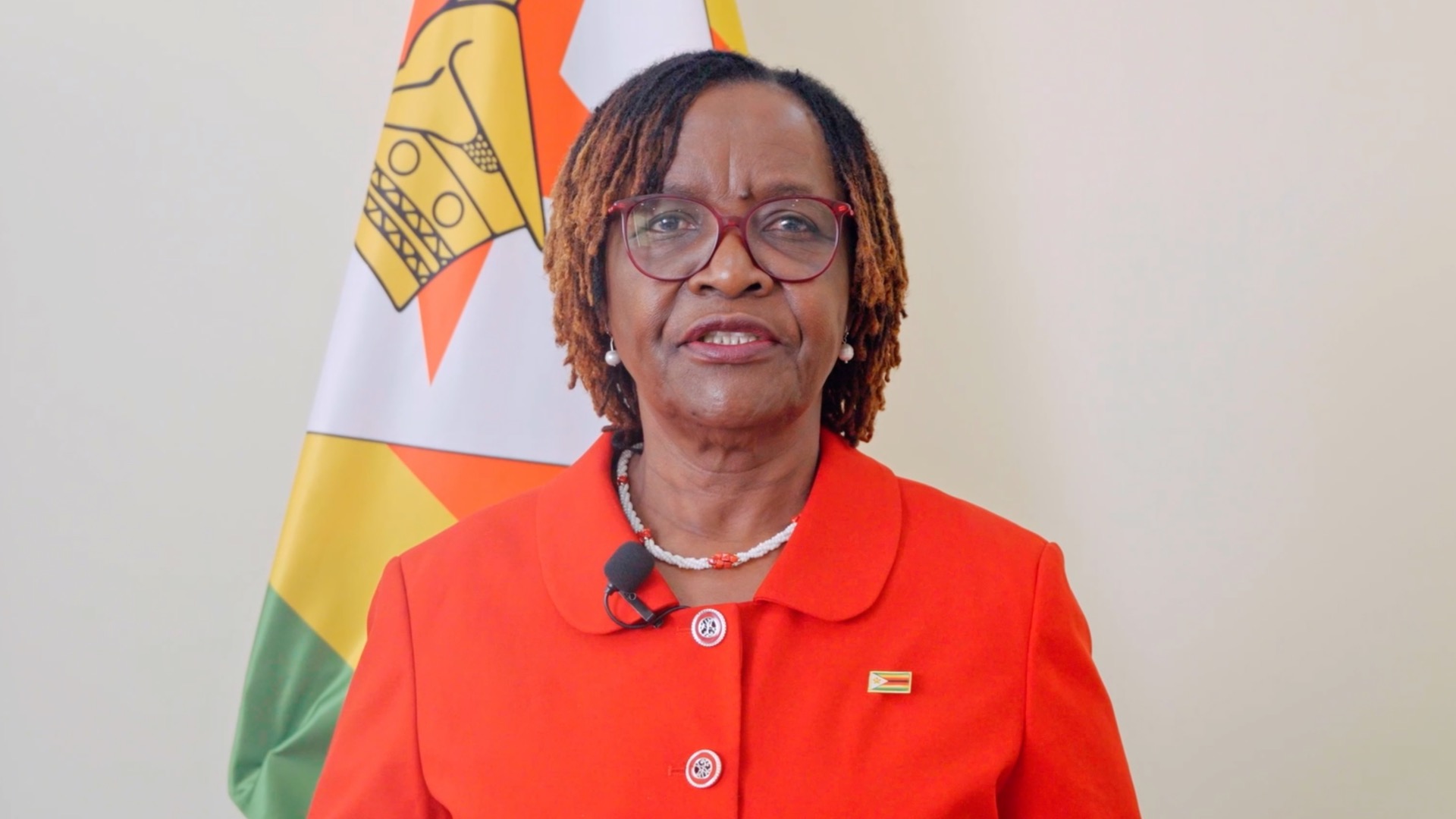 Galloping forward China ties in Year of Horse: Zimbabwean ambassador