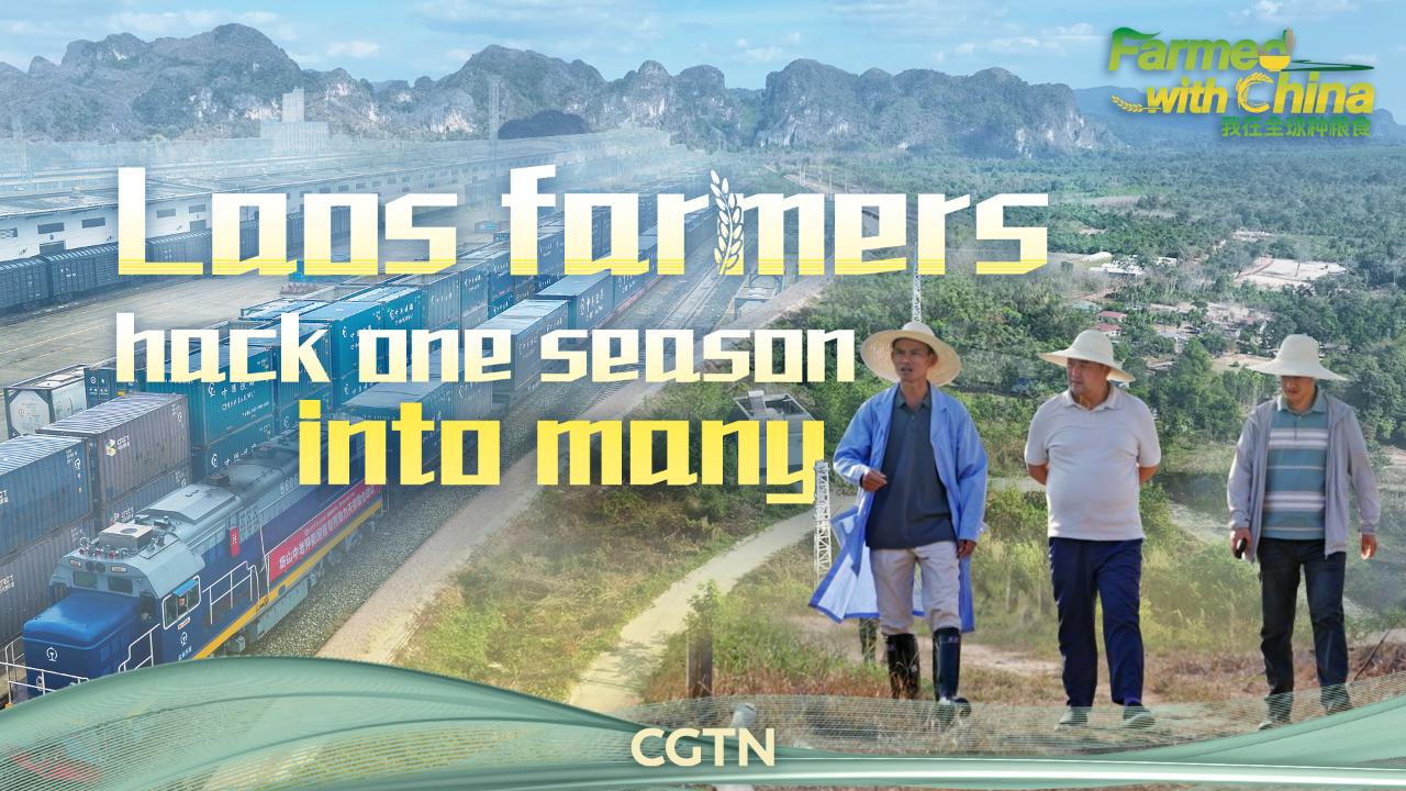 Farmed with China: Laos farmers hack one season into many