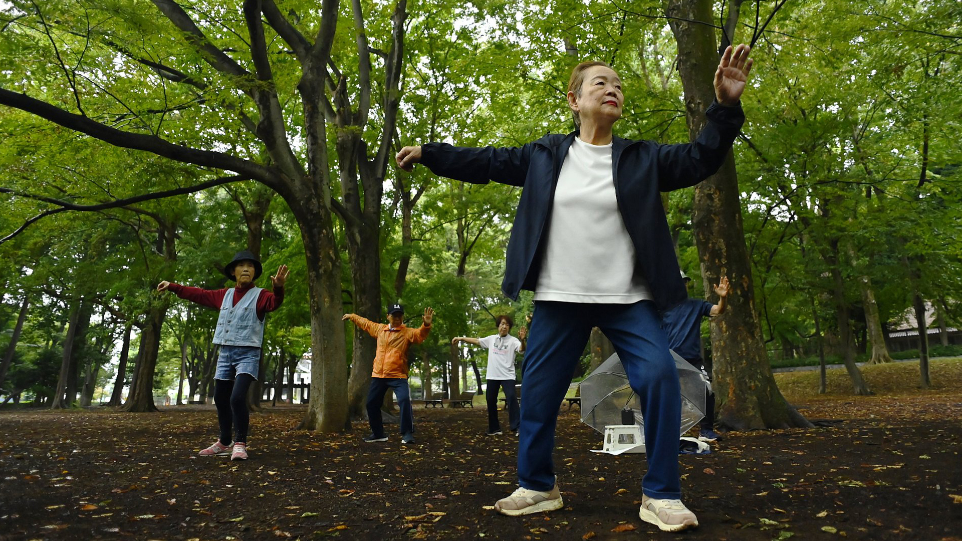 China to boost expansion, quality of elderly care: minister