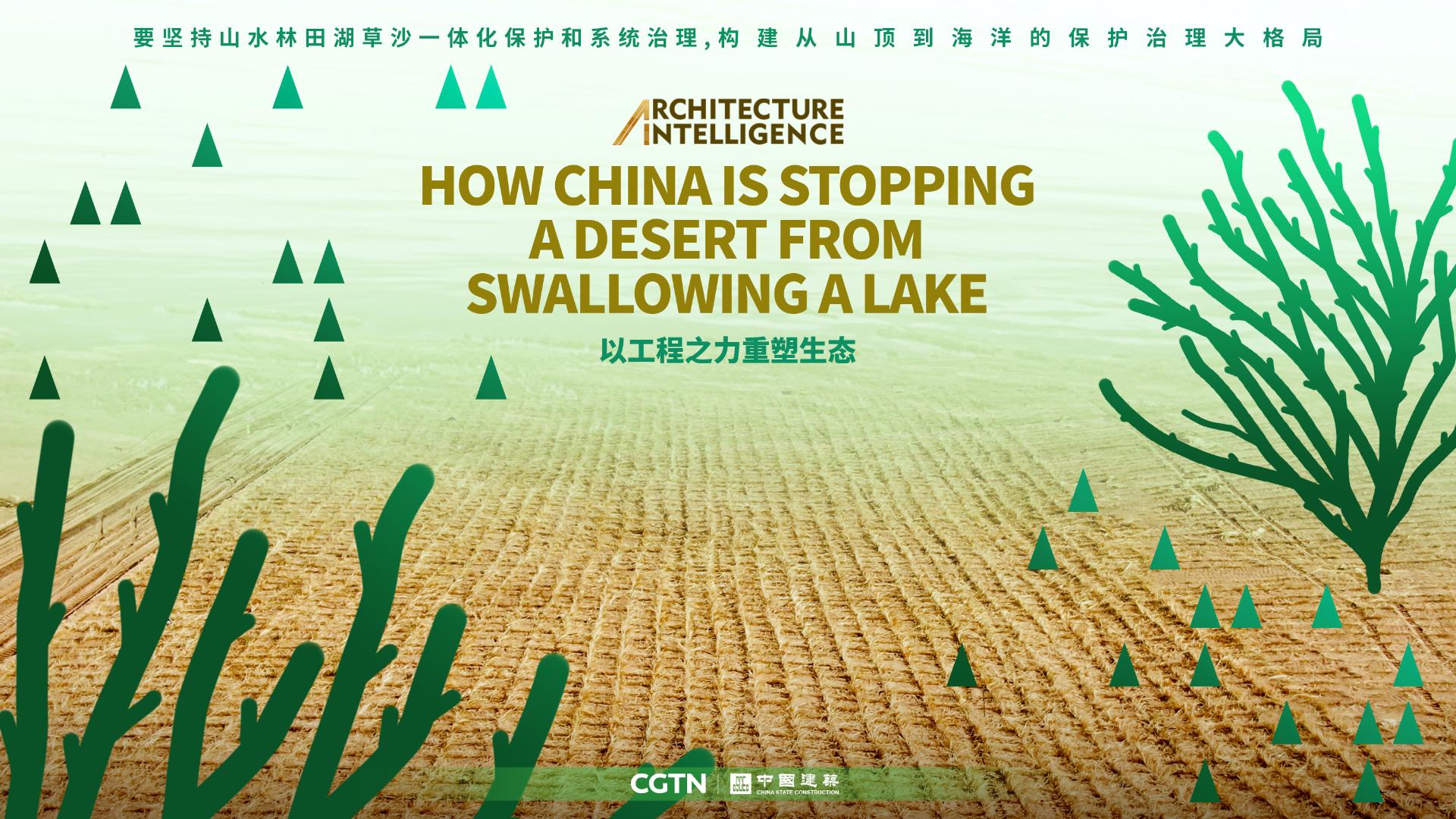 How China is stopping a desert from swallowing a lake