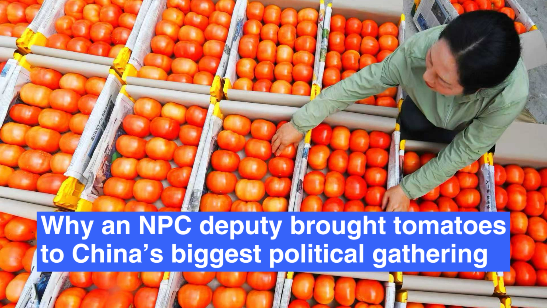 Why an NPC deputy brought tomatoes to the biggest political gathering