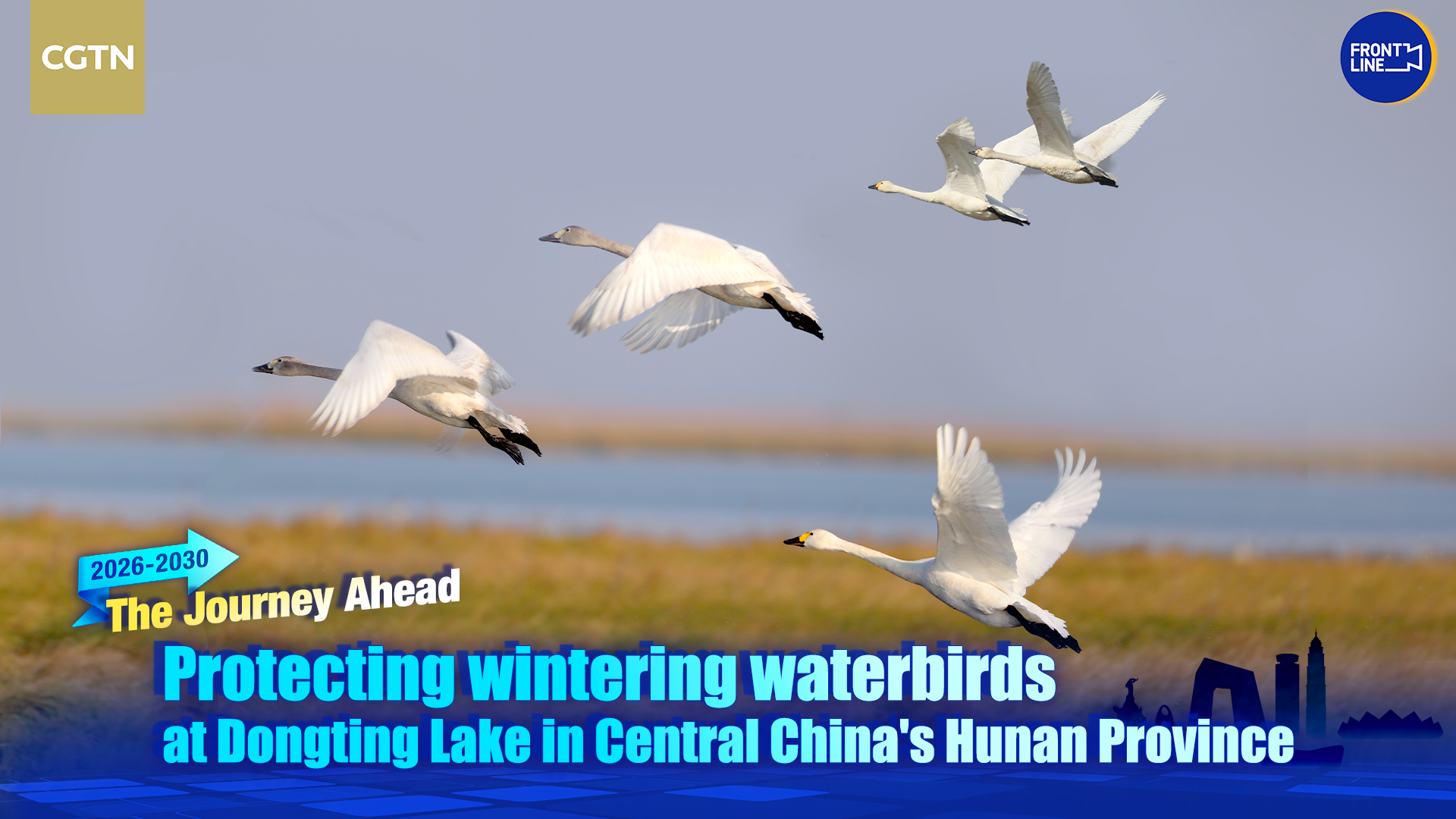 Protecting wintering waterbirds at Dongting Lake in China's Hunan 