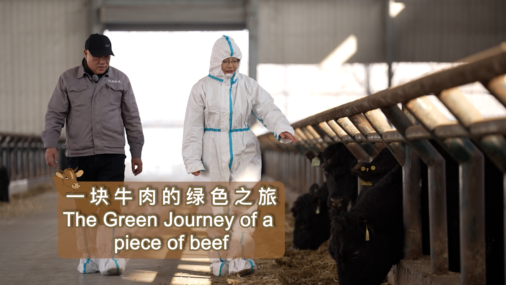 The green journey of a piece of beef