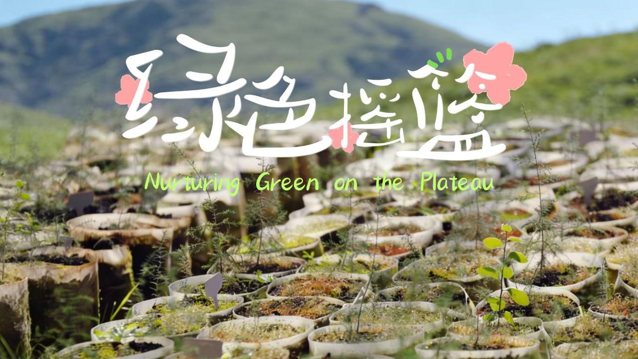 Nurturing green on the plateau
