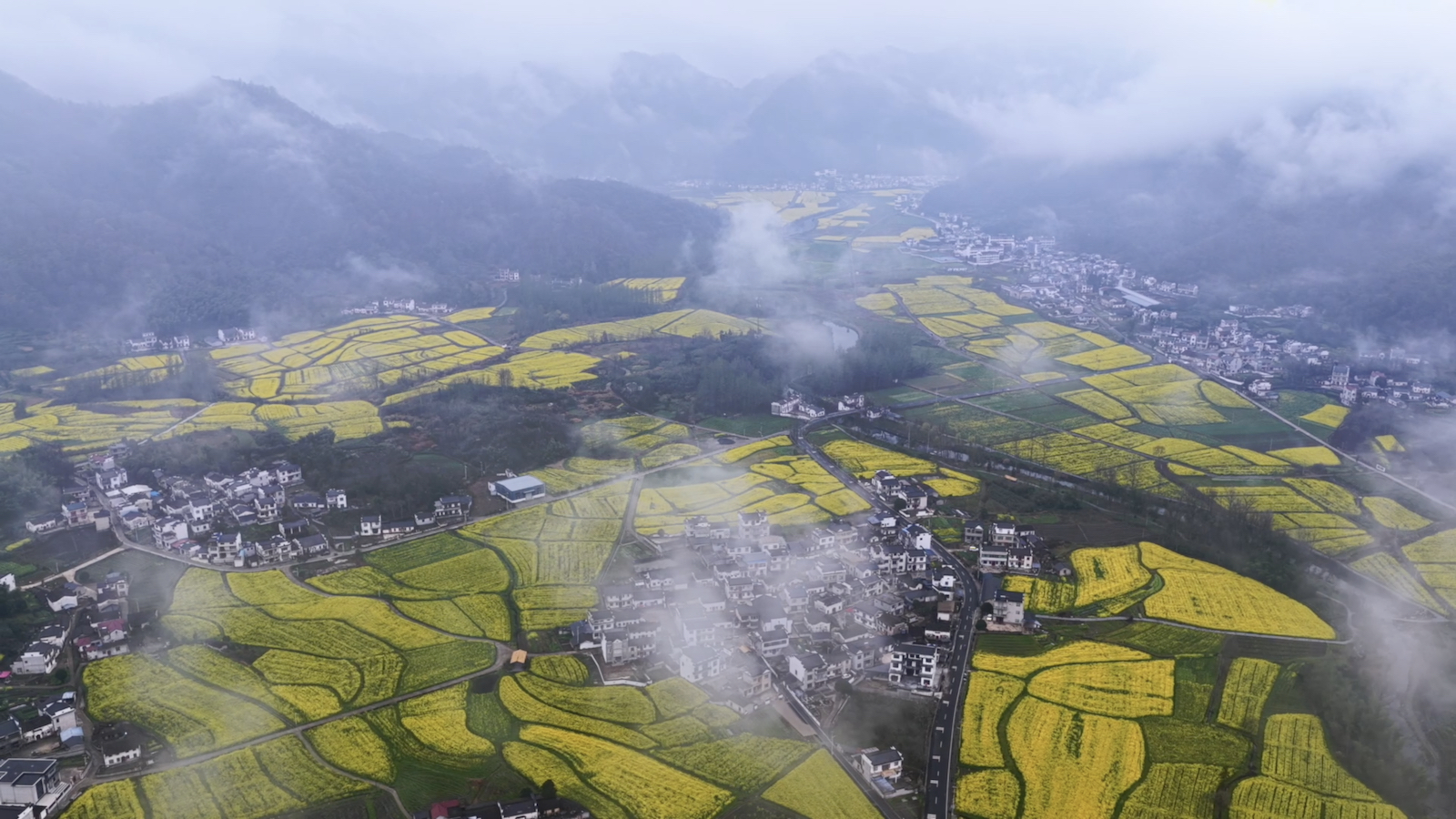 Seas of rapeseed flowers turn east China village into spring sensation