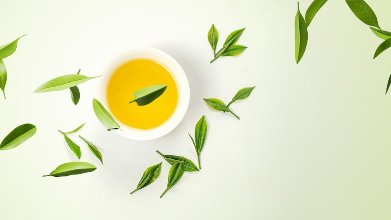 Scenic tea plantations offer new spring experiences in China