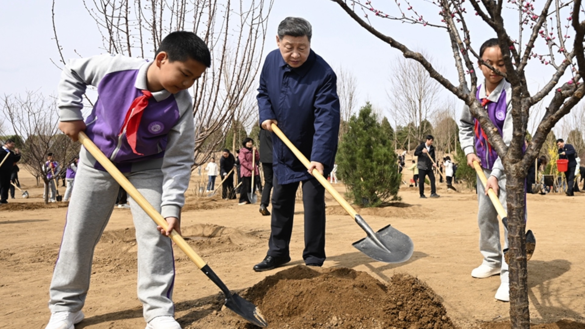 Xi Jinping urges mobilizing whole society in tree-planting efforts