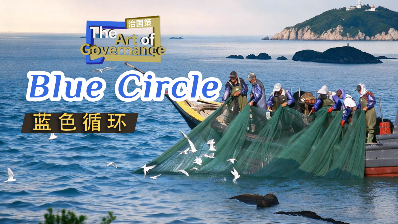 The Art of Governance: The Blue Circle