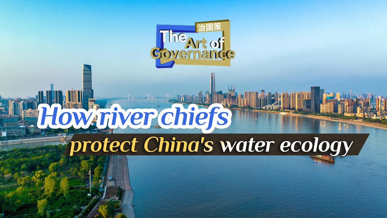 China's green governance innovation is reshaping its environment