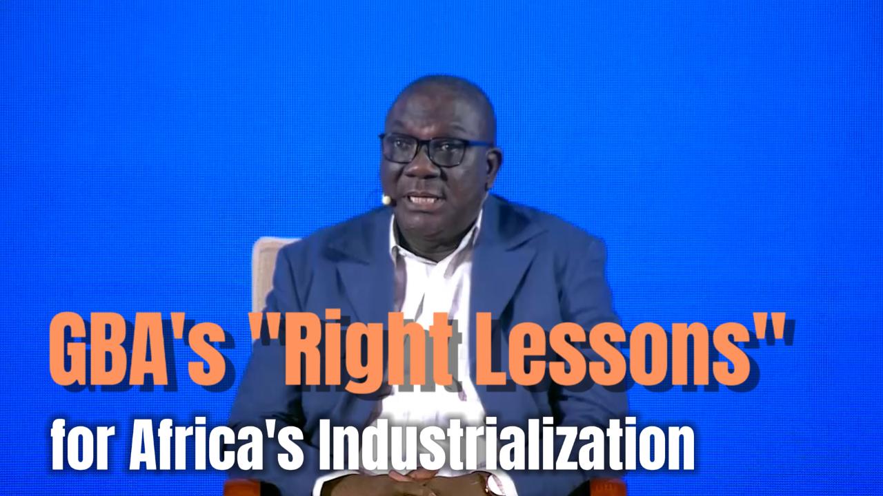 China's GBA offers 'right lessons' for Africa's industrialization