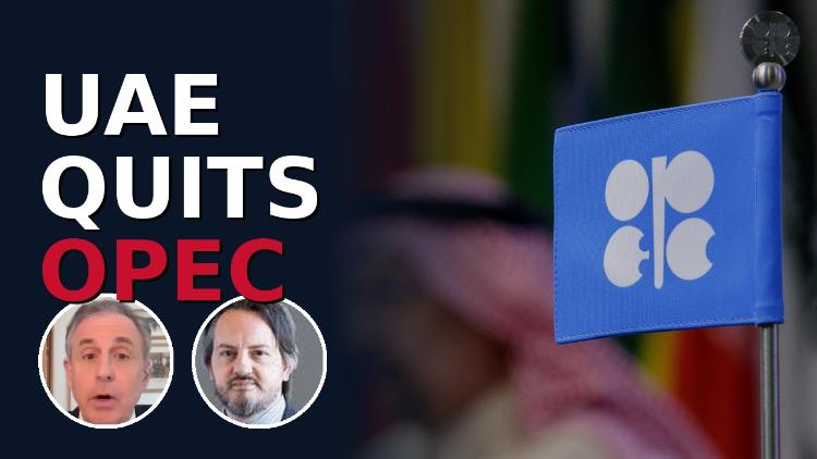 Why the UAE quit OPEC and what it means for oil prices - CGTN