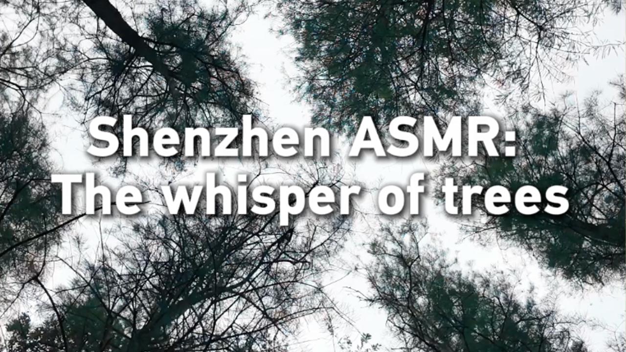 Shenzhen ASMR: The whisper of trees - news.cgtn.com — source ASMR & Sound Healing (Google News)