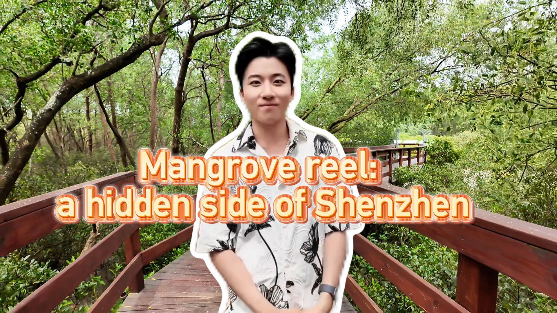 Mangrove reel: A hidden side of Shenzhen 
