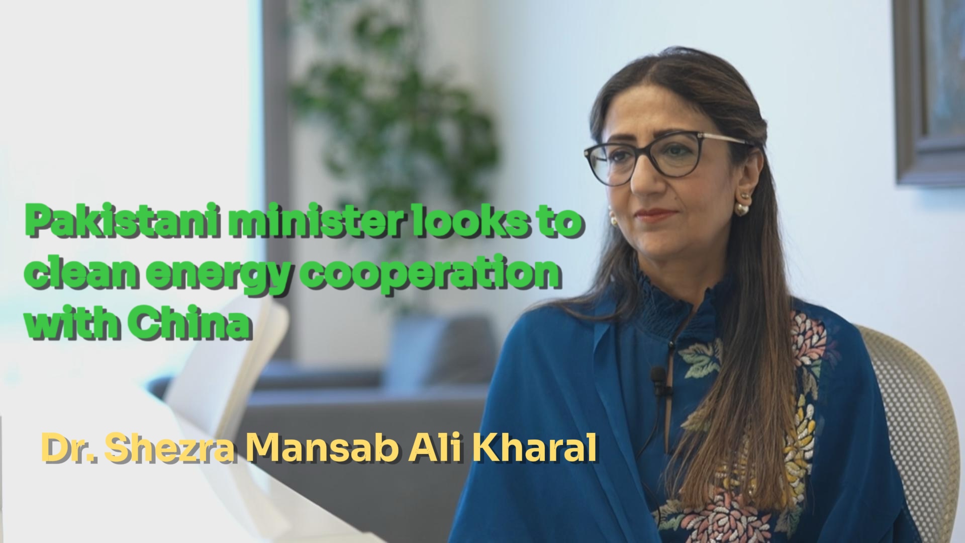 Pakistani minister looks to clean energy cooperation with China