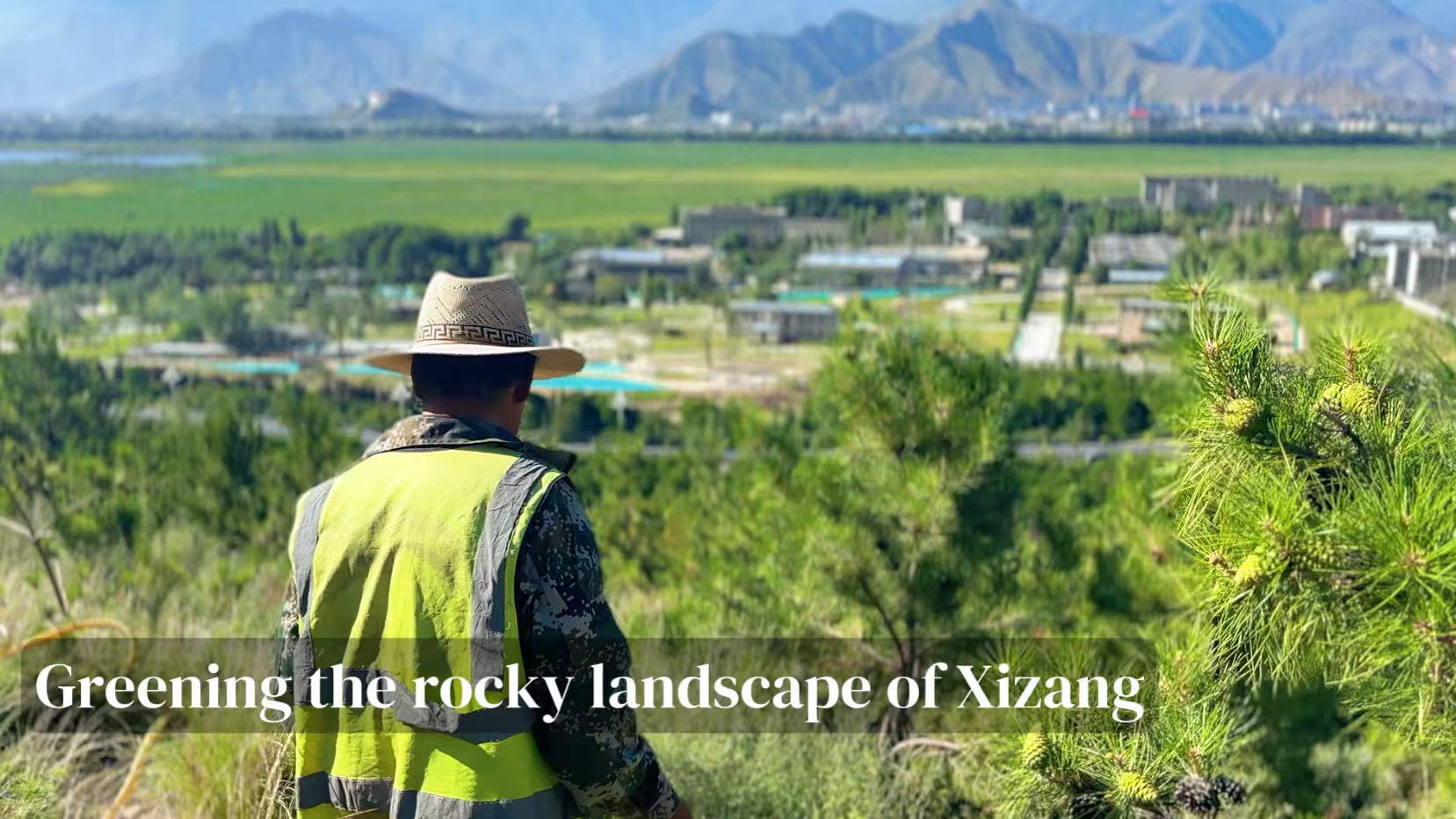How Xizang is recasting its bare landscape into green mountains