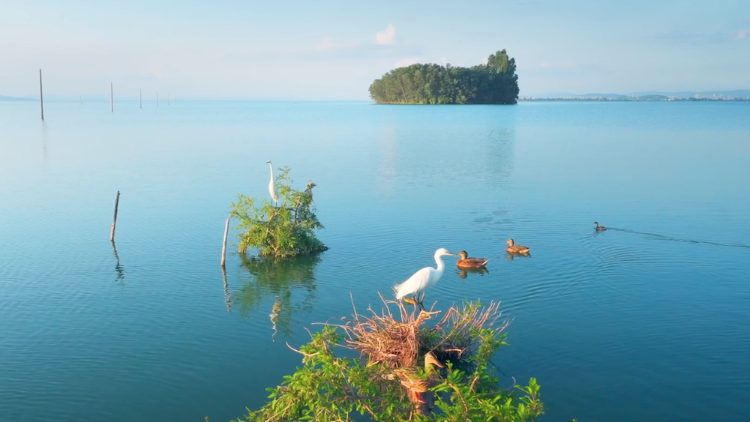Heartwarming parenting moments at Dianchi Lake