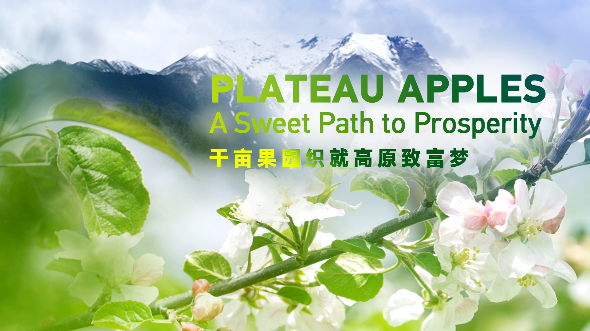 Plateau apples: A sweet path to prosperity