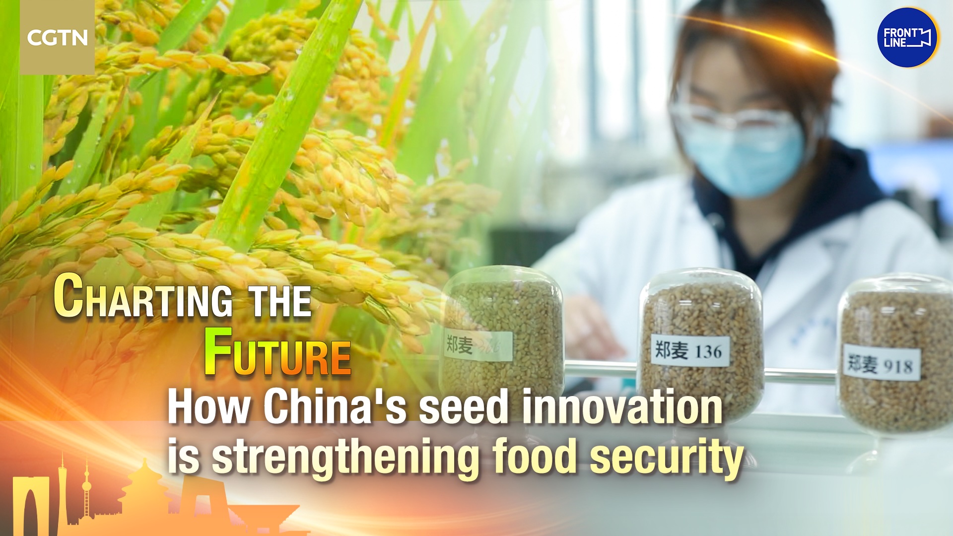 How China's seed innovation is strengthening food security
