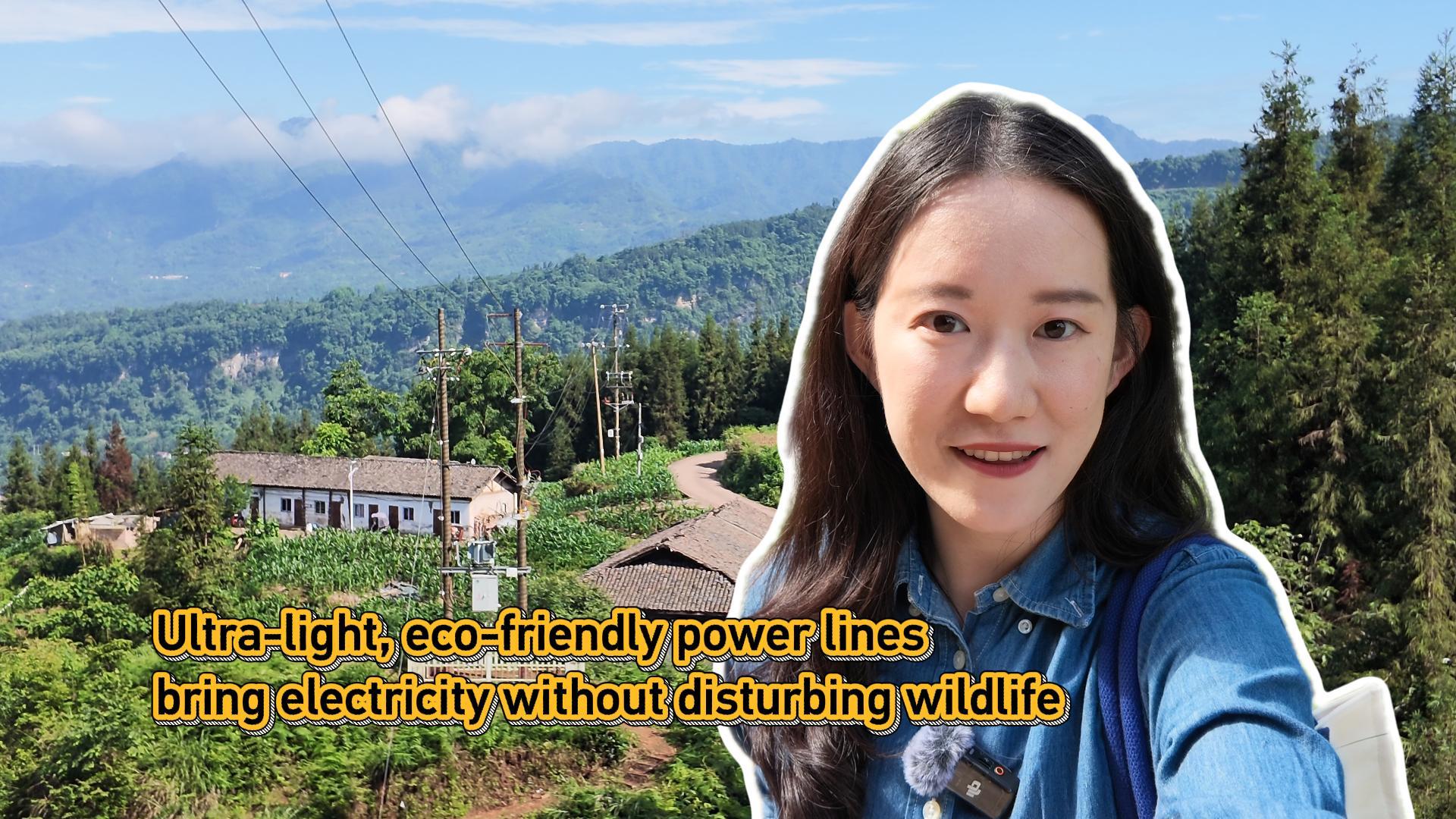 Eco-friendly power lines bring electricity without disturbing wildlife