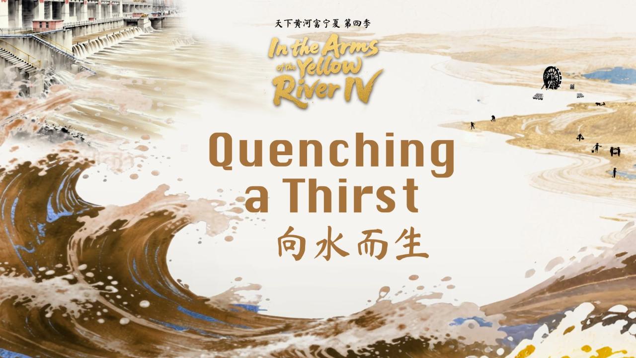 Coming soon｜In the Arms of the Yellow River IV: Quenching a thirst