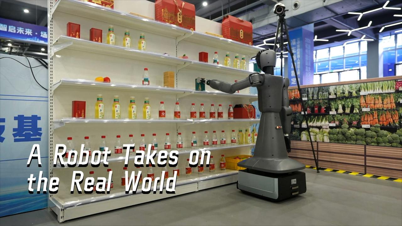 A robot takes on the real world